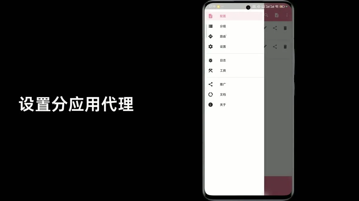 分应用代理设置
